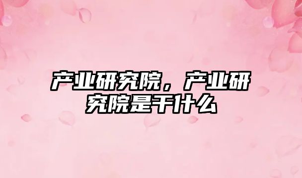 產(chǎn)業(yè)研究院，產(chǎn)業(yè)研究院是干什么