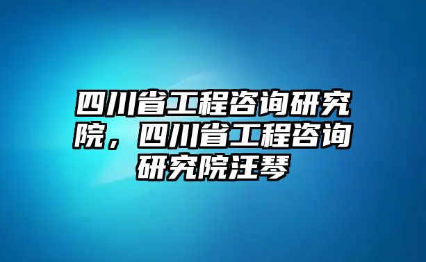 四川省工程咨詢研究院，四川省工程咨詢研究院汪琴