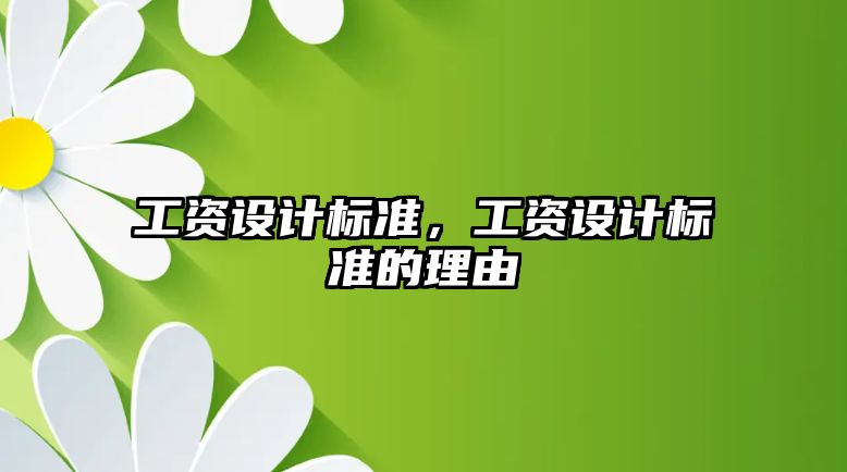 工資設(shè)計標(biāo)準(zhǔn)，工資設(shè)計標(biāo)準(zhǔn)的理由